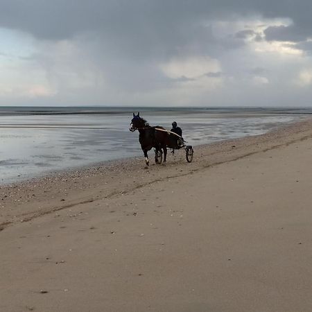 Gites En Normandie En Front De Mer A Asnelles , 3Km D'Arromanches, 10Km De Bayeux Εξωτερικό φωτογραφία